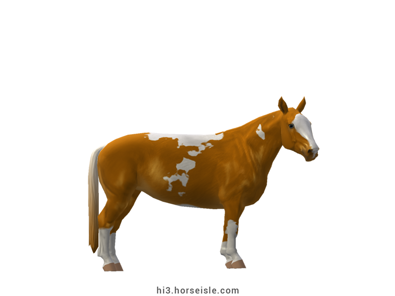 Cow-pony Holstein Golden Chestnut Tobiano Coat (normal view)